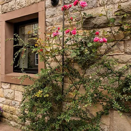 1 Bed In Oc-g34032 Feriehus